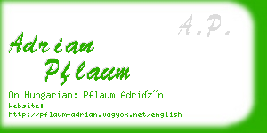 adrian pflaum business card